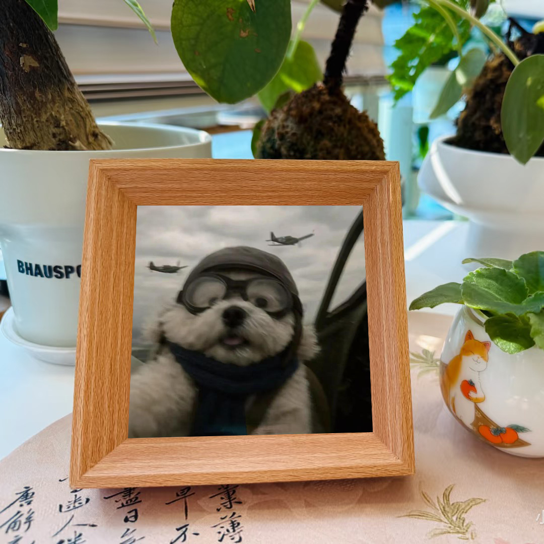 Doro Hakimi Pirate Cat Figurine with Meme Frame