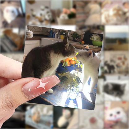 "Meme Cat Stickers – Cute & Waterproof DIY Set"
