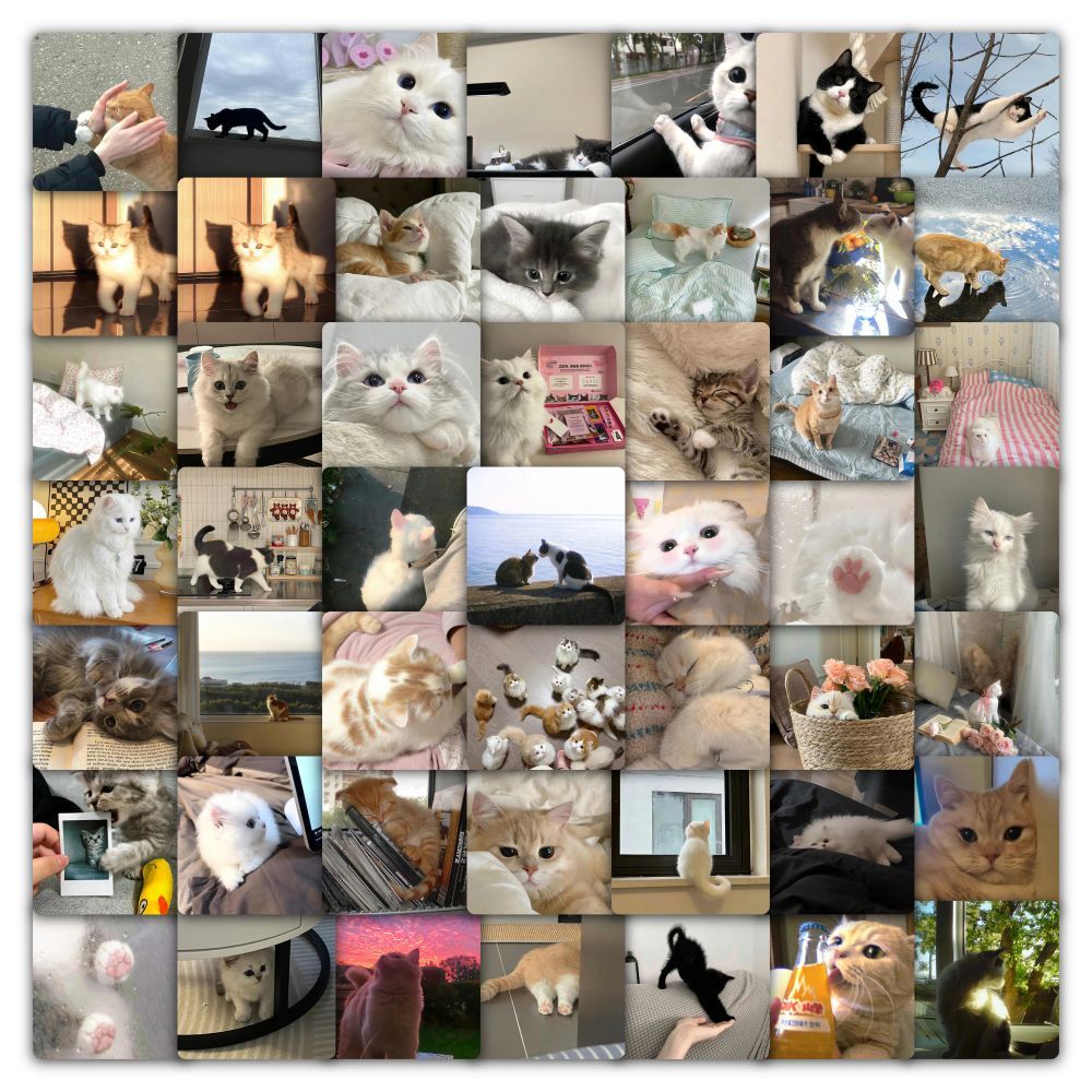 "Meme Cat Stickers – Cute & Waterproof DIY Set"