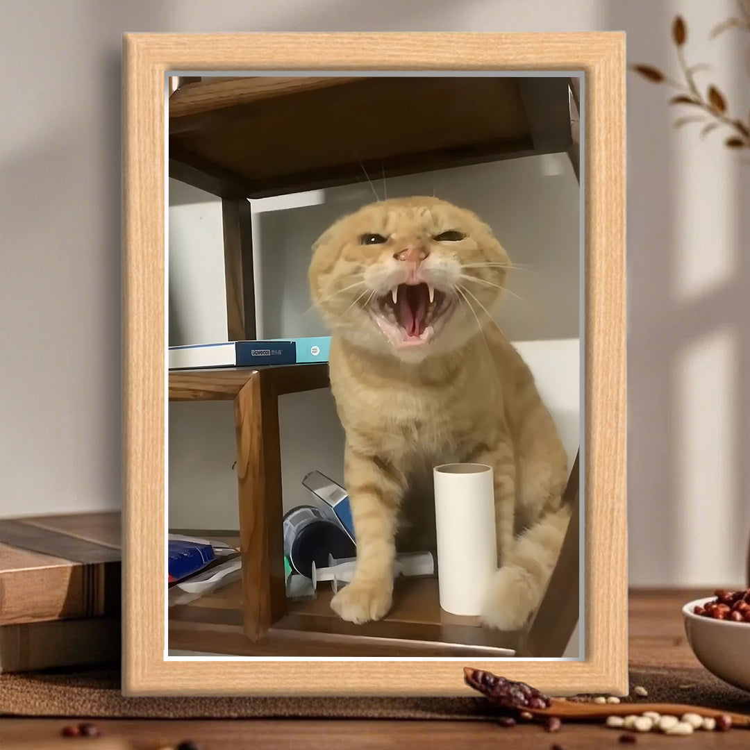 Cute and soothing cat photo frame with round head and an old cat breathing out its breath.